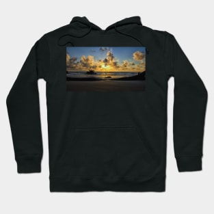 Driftwood Beach Jekyll Island Hoodie